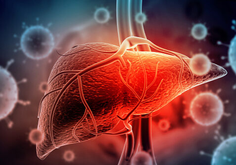 Hepatitis virus with human liver. 3d illustration