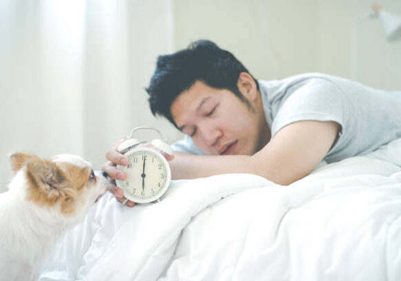 Sleepy young asian man wake up early in morning with eyes still close holding alarm watch in hand and dog's besides bed. Feeling tired, funny and lazy concept in white bedroom with beautiful sunlight.